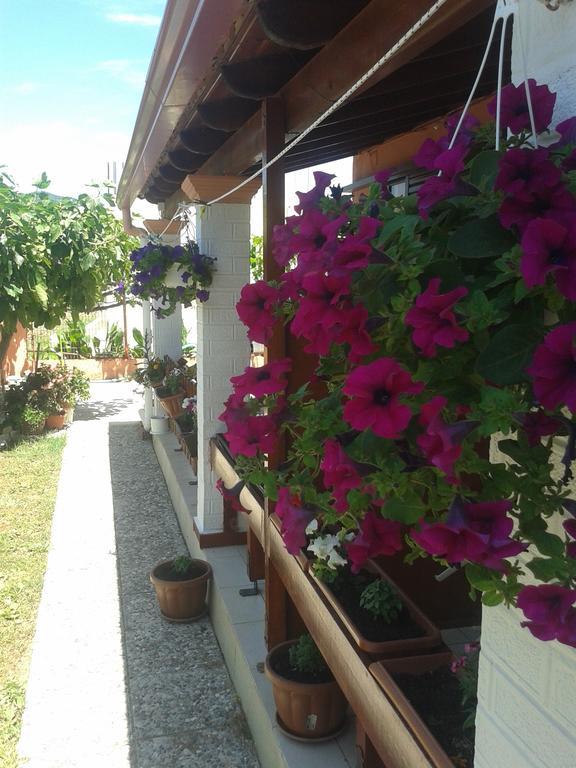 Adriana Saina Apartments Agios Georgios  Room photo